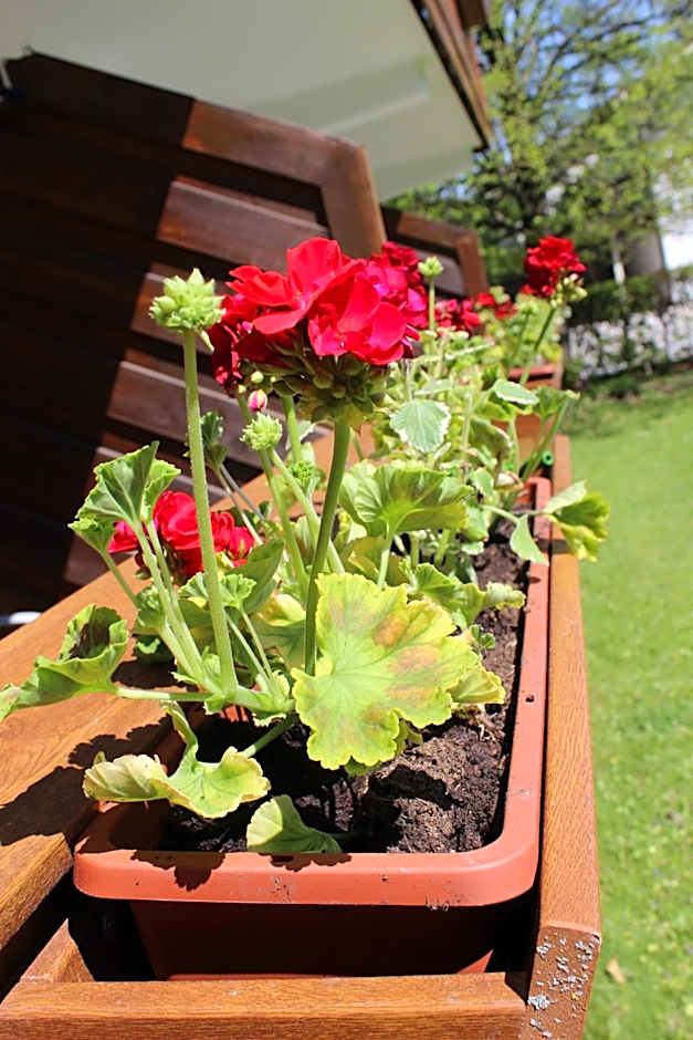 Appartement-Hotel Happy Kienberg