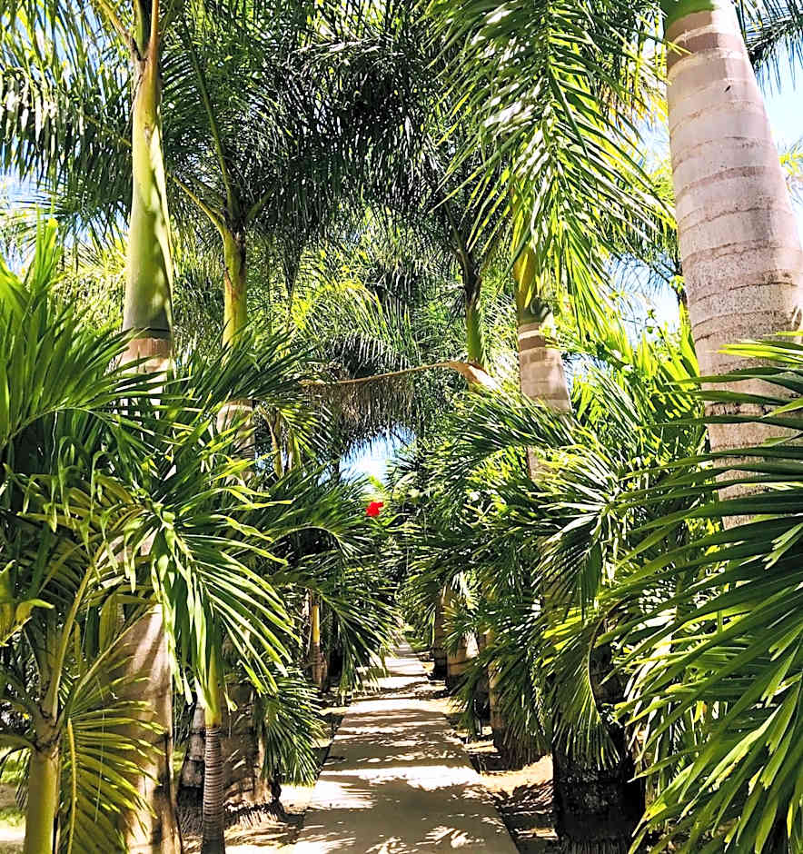 Le Village de la Pointe