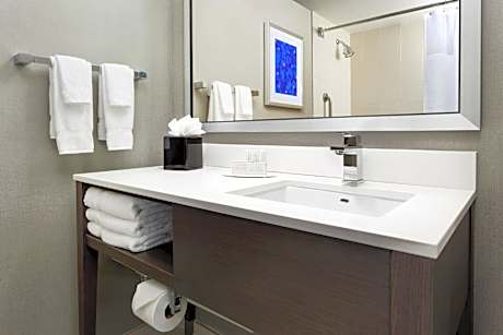 River View, Guest room, 1 King (Mobility &amp; Hearing Accessible w/ Roll-in Shower)