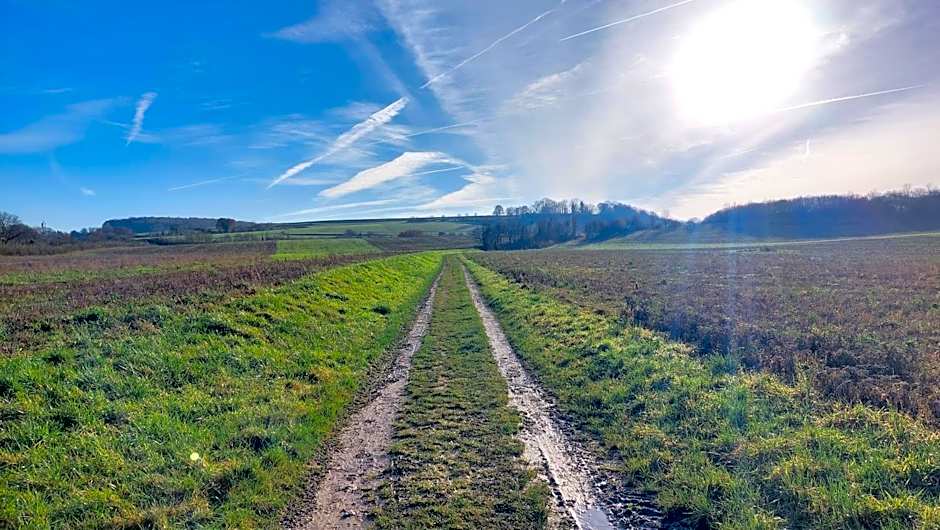 Bed & Breakfast Hotel Het Gerendal