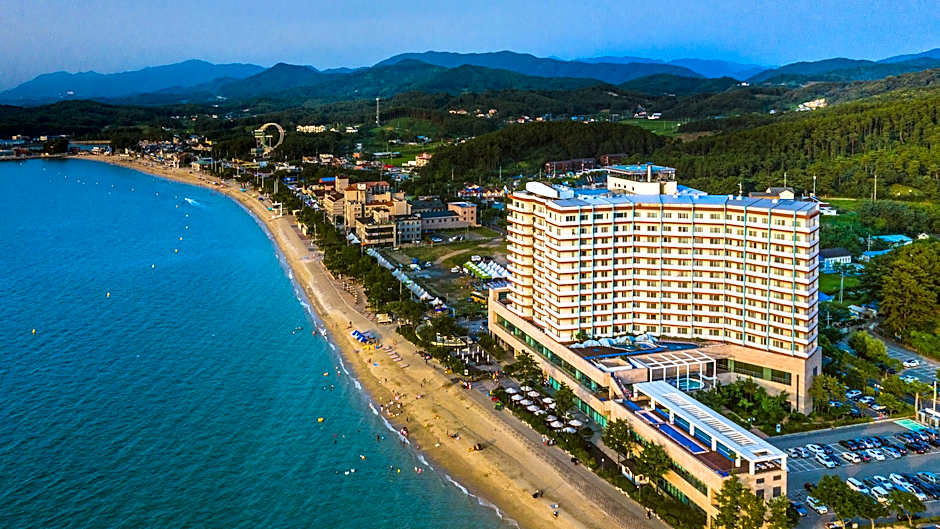 Beache Palace