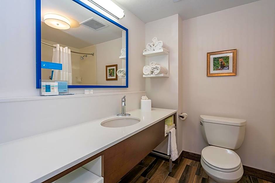 Hampton Inn By Hilton And Suites Flagstaff