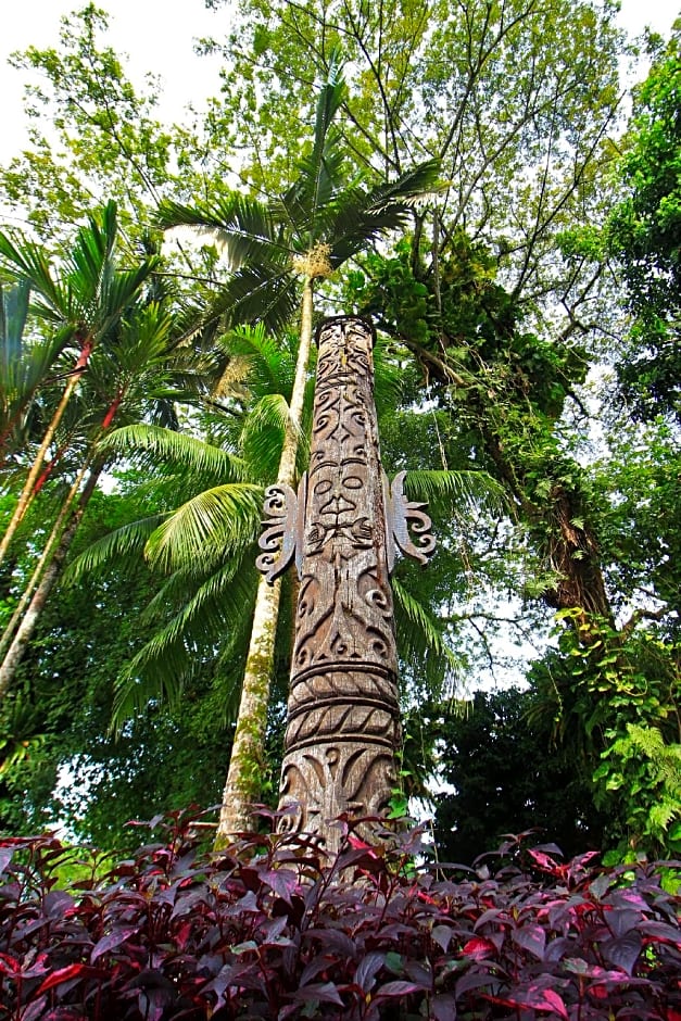 Telang Usan Hotel Kuching