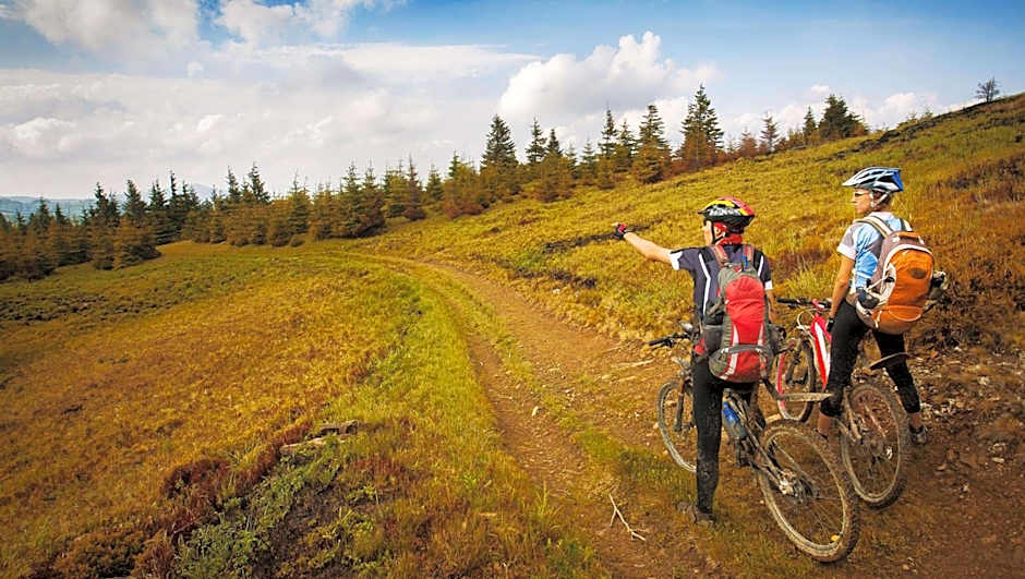 Stardust Motel Wallace