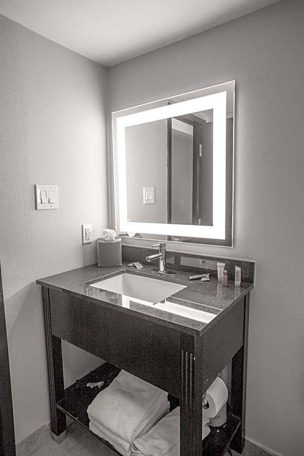 La Quinta Inn & Suites by Wyndham Dallas I-35 Walnut Hill