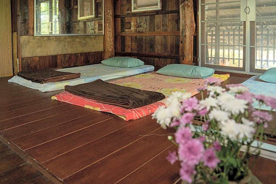 Art House at Chiangdao - Waterlily House
