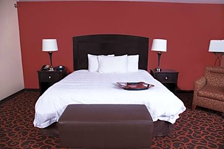 King Studio Suite with Sofa Bed - Hearing Access/Non-Smoking