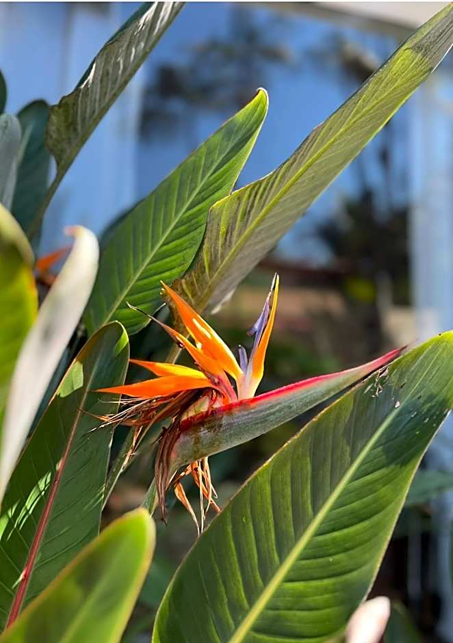 Hotel Casa Paradiso Guarujá