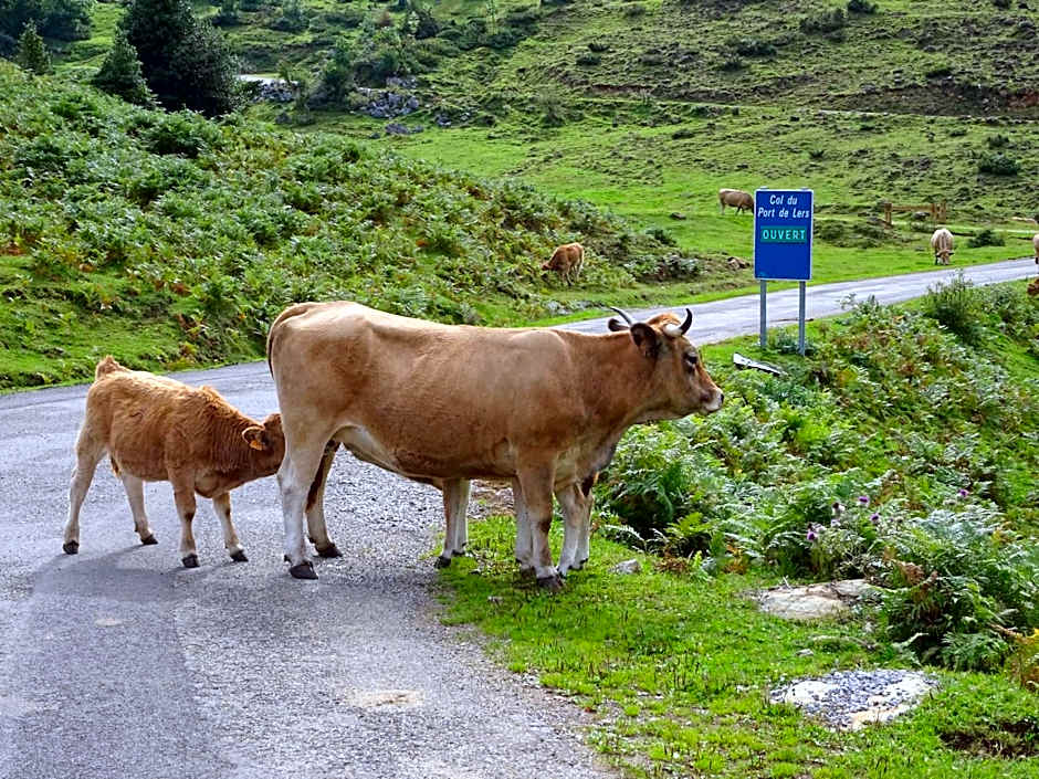 Les Deux Vélos Chambres d'Hotes-Table d'Hotes