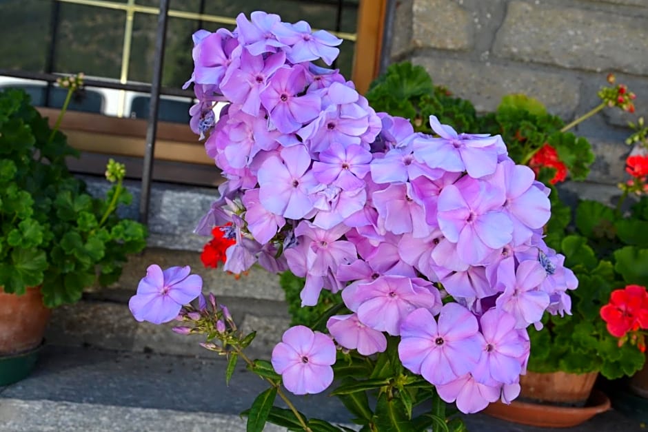 B&B Les Fleurs