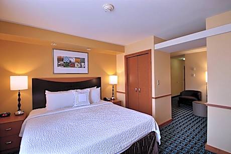 Suite, 1 King, Sofa bed