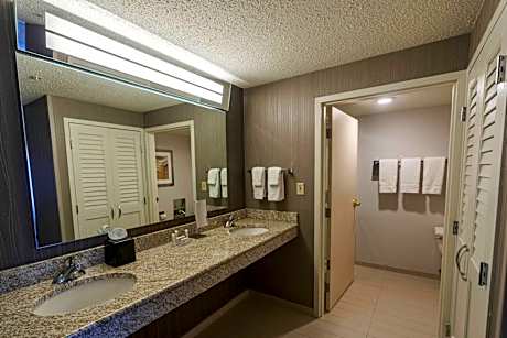 One-Bedroom King Suite with Sofa Bed