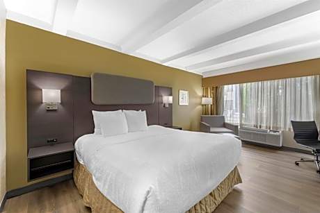King Suite with Kitchenette - Non-Smoking