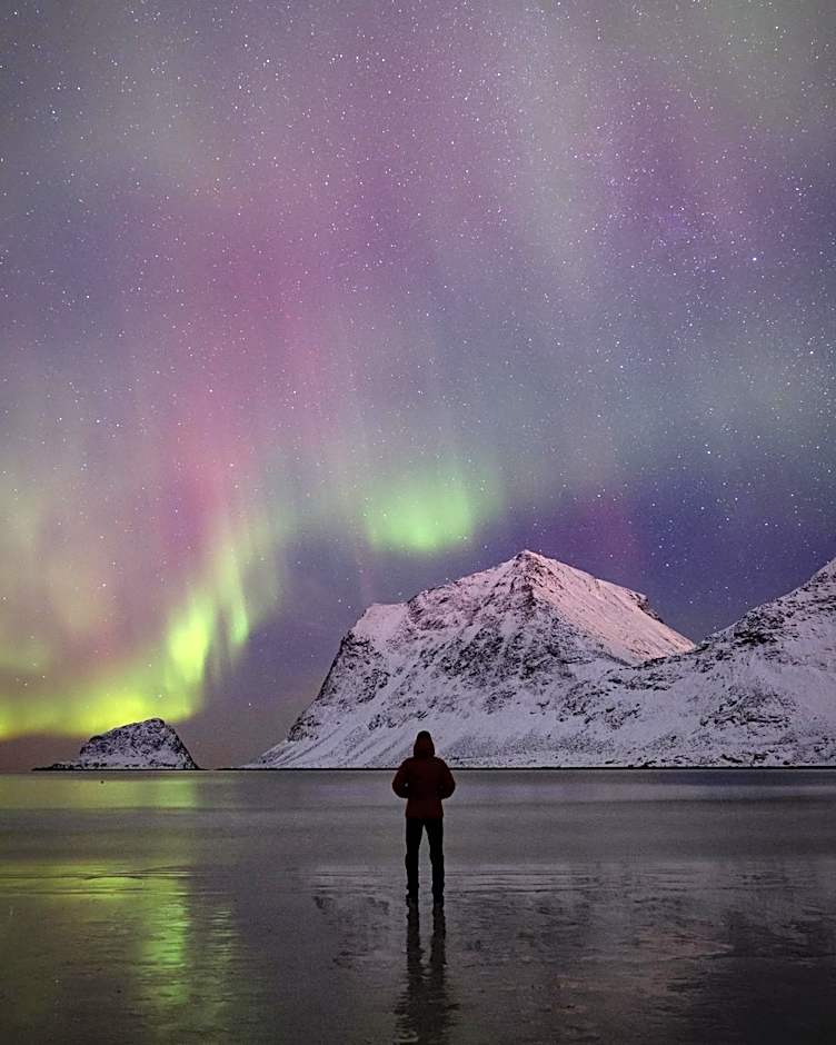 Astra Whale - Waterfront Boutique Hostel in Lofoten