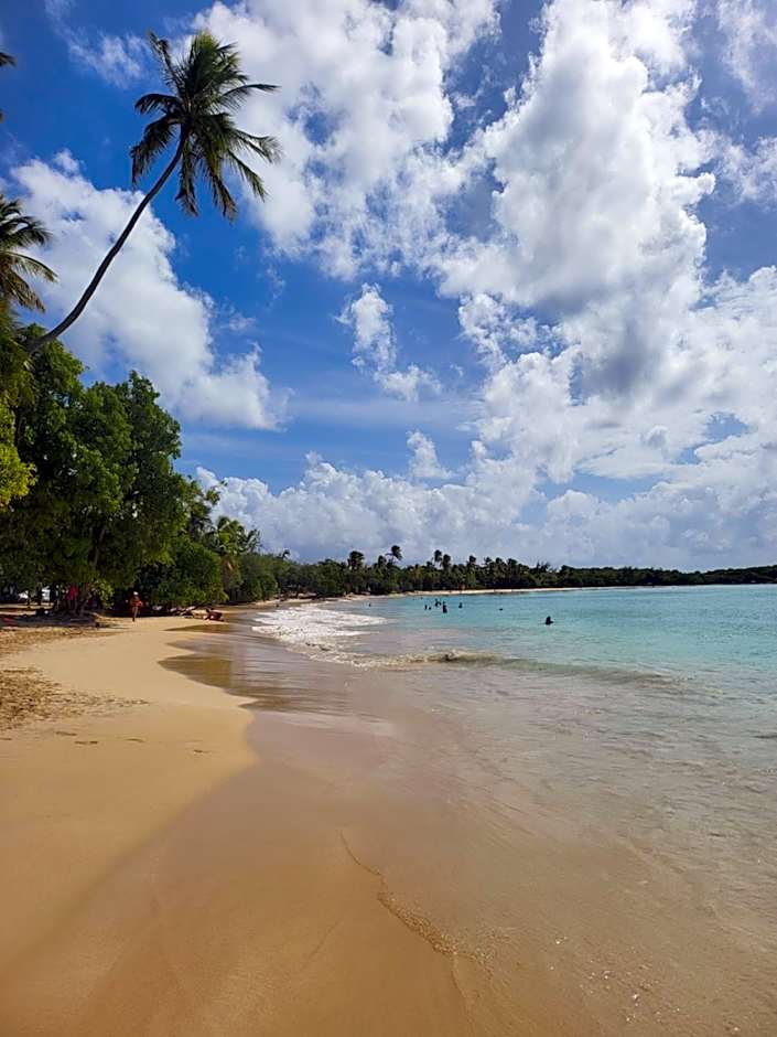 Sud Madinina - Sainte Anne