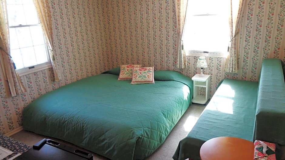 Cozy Inn Antique