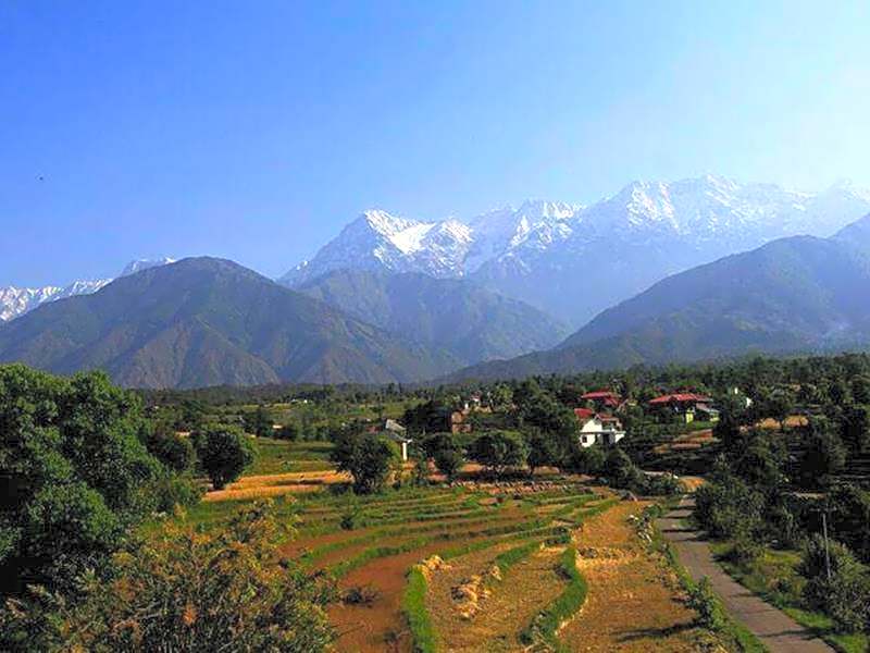 Hotel Seclude Palampur