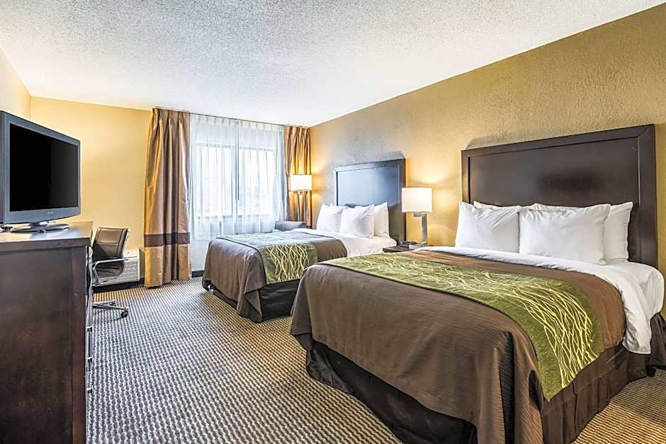 Comfort Inn Detroit Downtown