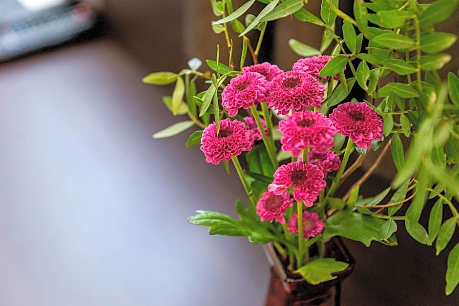 Casino & Hotel ADMIRAL Ptuj