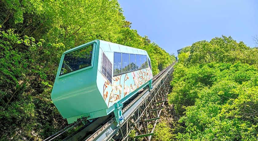 Wanoyado Hotel Iya Onsen Natural Hot Spring