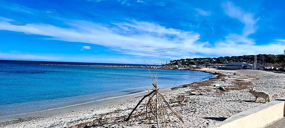 Holidays In Provence Alpes Maritimes