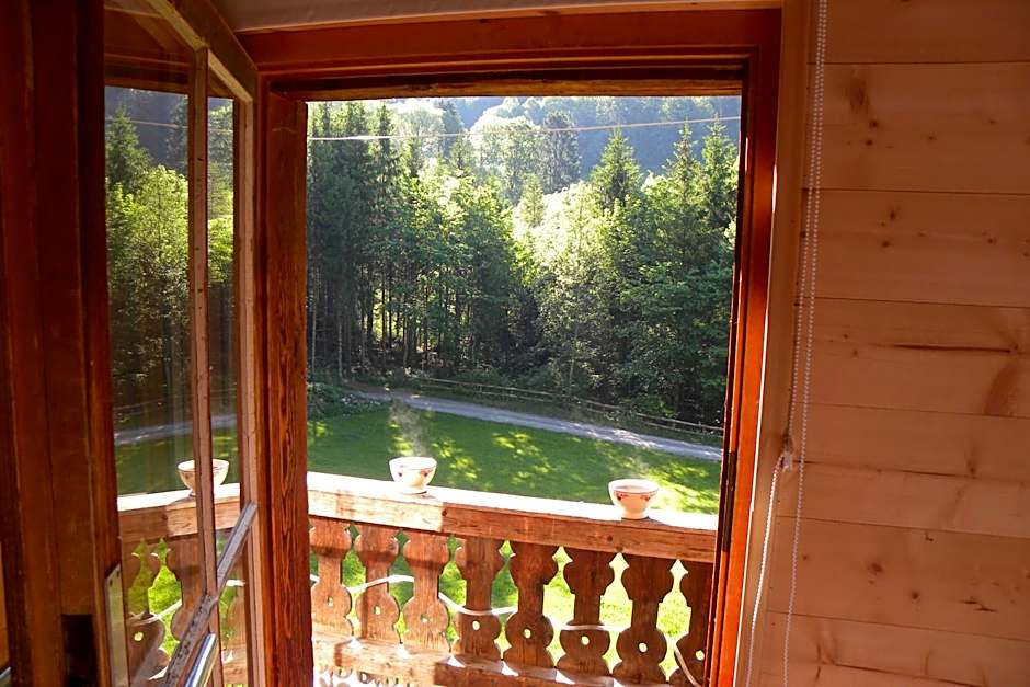 Spacious Swiss Alpine Chalet for Nature Lovers