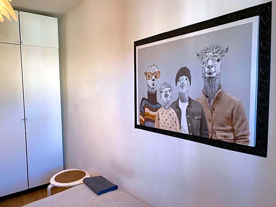 Lemuria Hostel Szkolna centrum