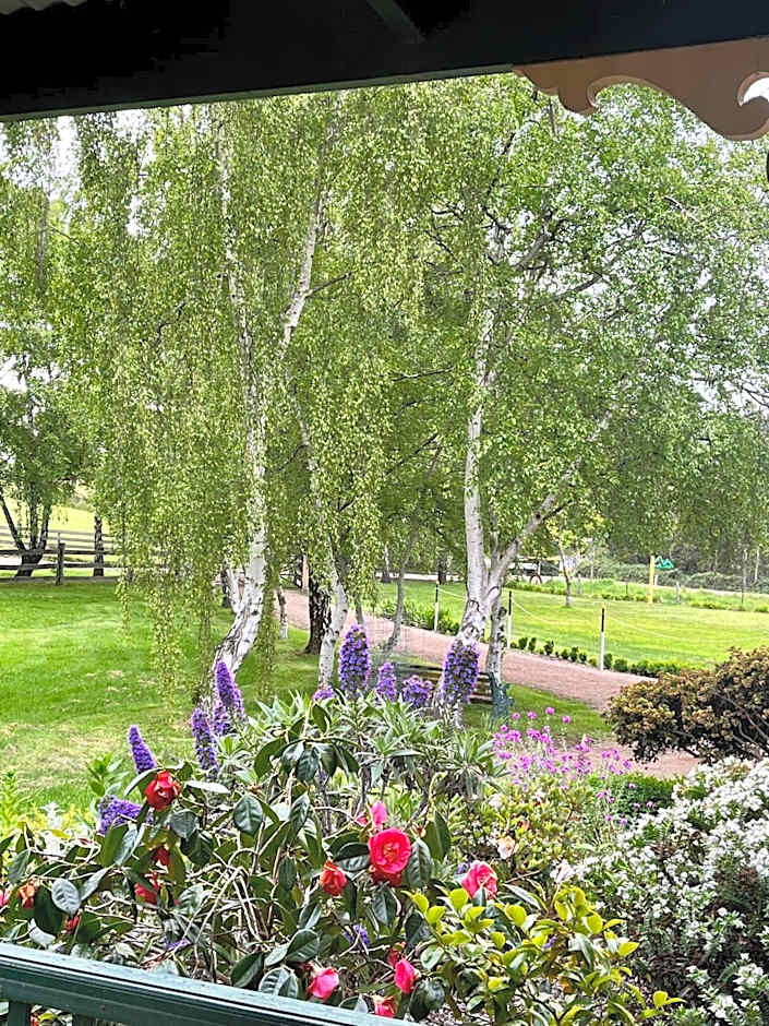 Green Gables B&B Waterfront Apartment or Garden Studio