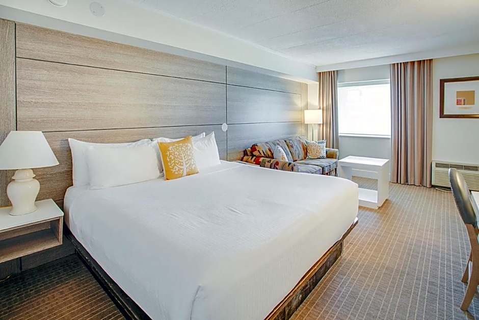 Photo 1 of 6 of Standard 1 King Bed, Pet-Friendly