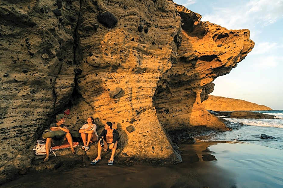 Aloe Vera Shared House