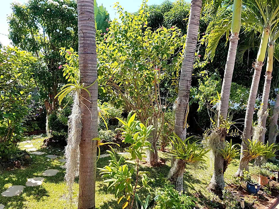 La Maison des Hôtes