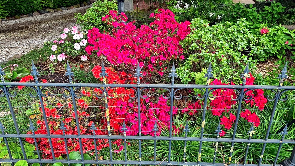 B&B De Zeven Berken