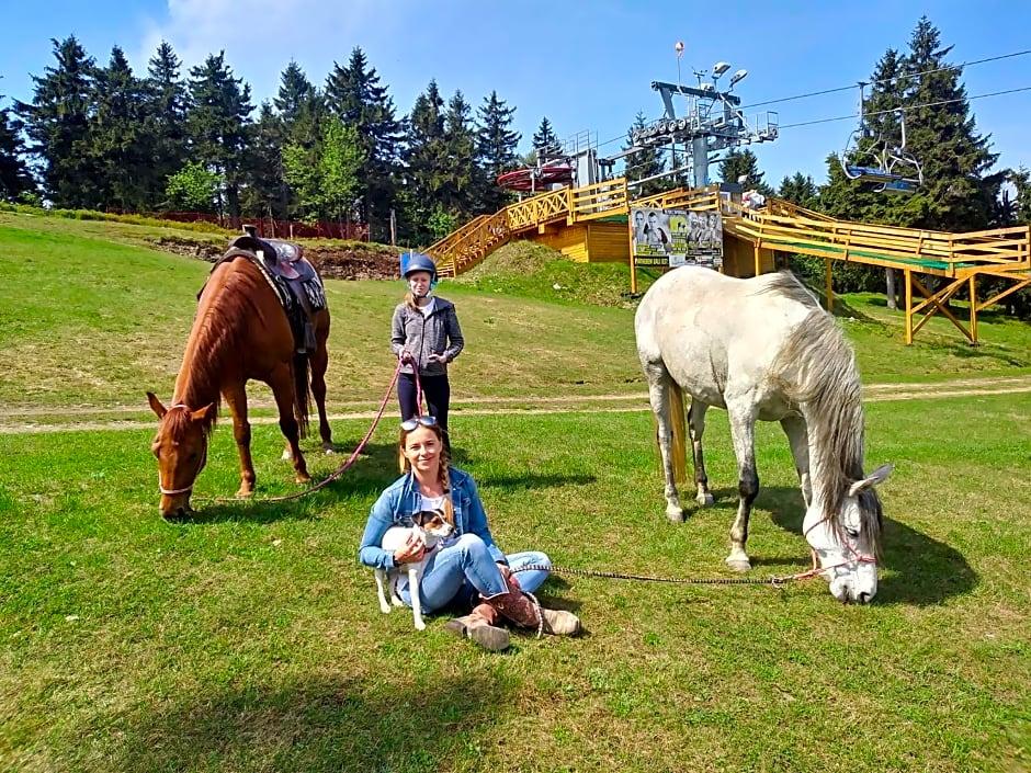 Gryglówka