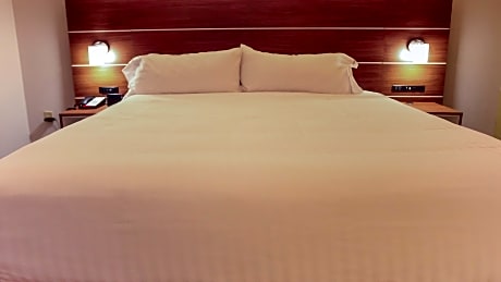 1 King Standard Sofa Bed