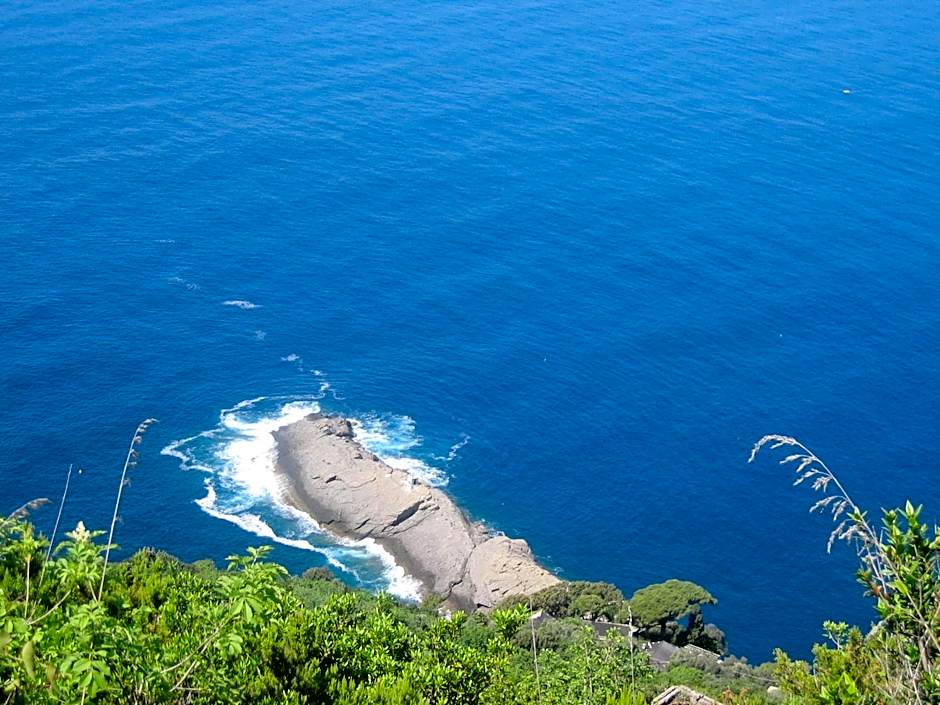 La Camogliese Hotel B&B