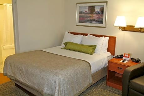 Studio Queen Suite