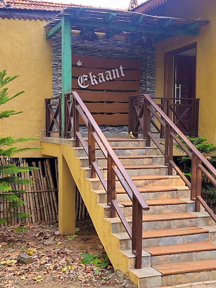 The Celebration Van Vilas