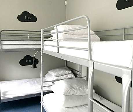 Bed in 8-Bed Dormitory Room