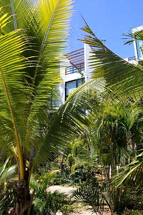 Anah Suites Tulum