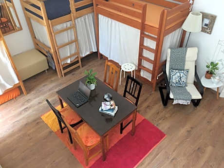 Bunk Bed in Mixed Dormitory Room