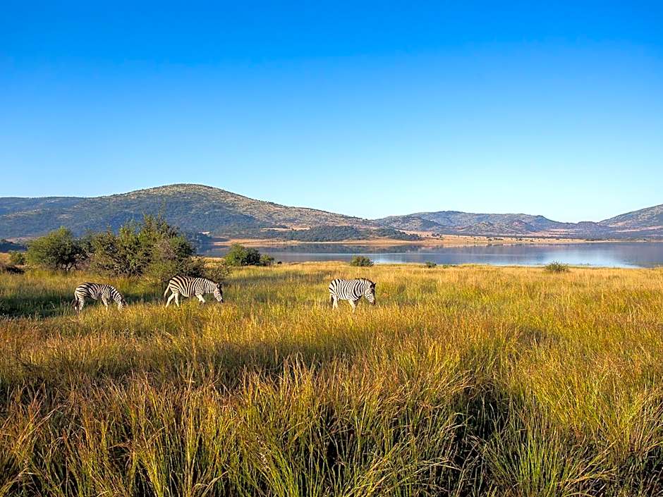 Shepherds Tree Game Reserve