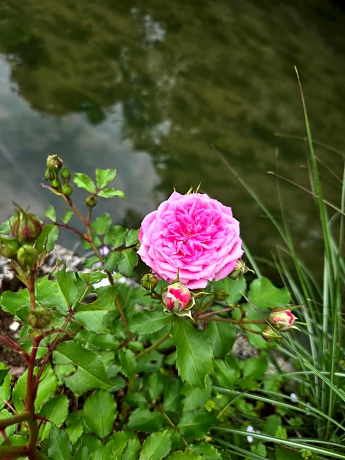 L'orée des 3 Rivières