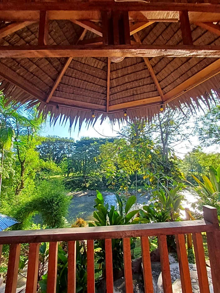 Asim Paris Guesthouse & jungle trekking