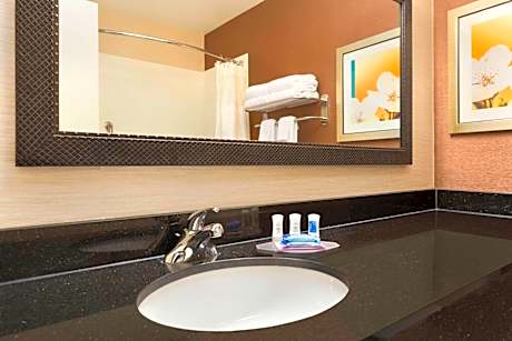 Deluxe King Room with Sofa Bed