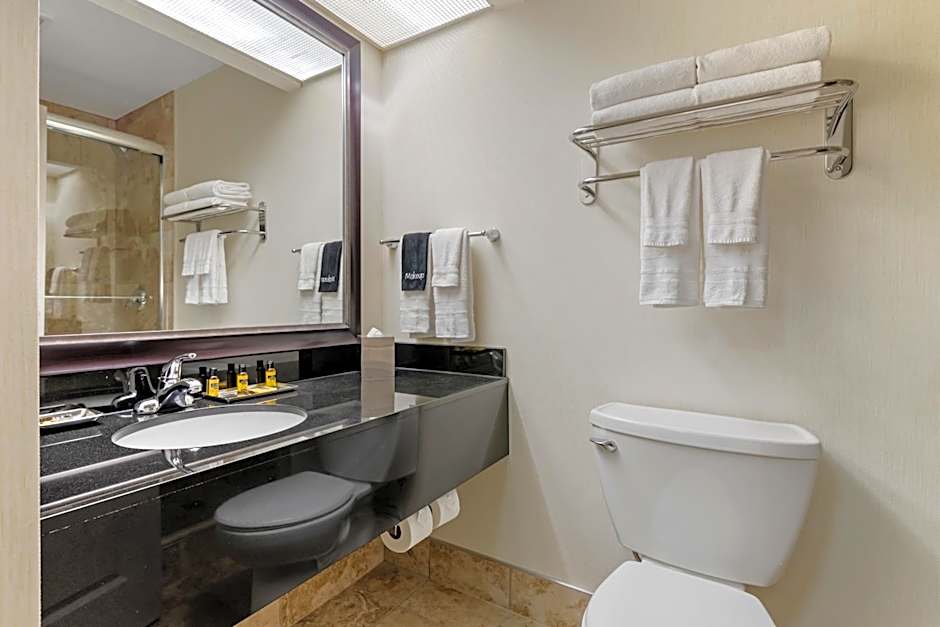 Best Western Plus Inntowner Madison