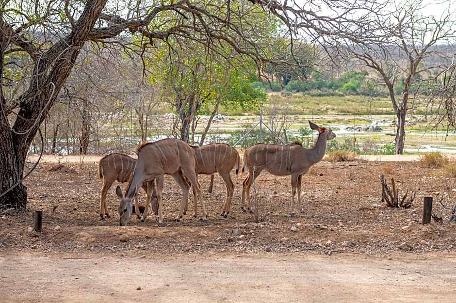 Foxy Crocodile Bush Lodge & Kruger Safari's - No Loadshedding