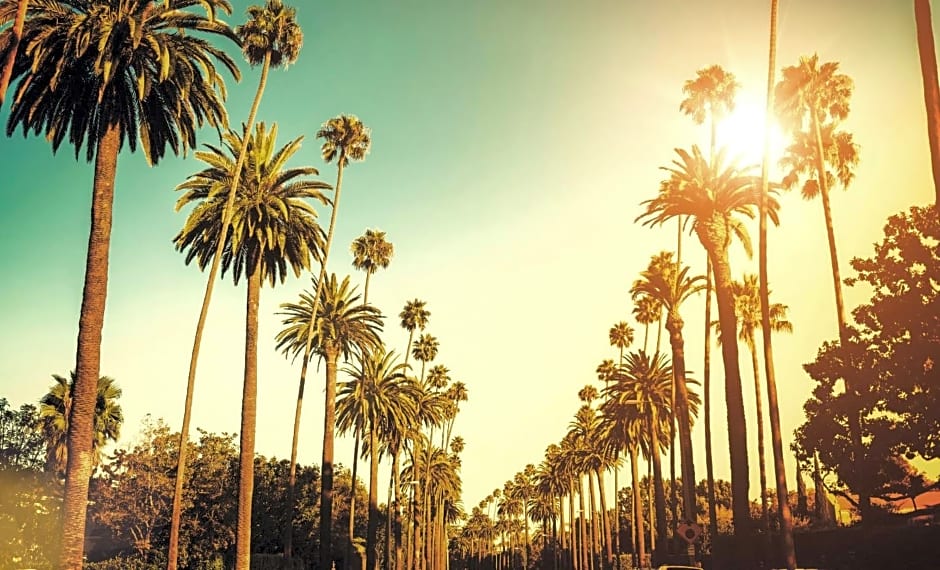 Kimpton Hotel Wilshire By IHG
