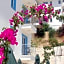 Saylam Suites