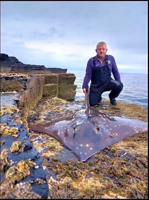 Hot Tub Haven Farr North 2