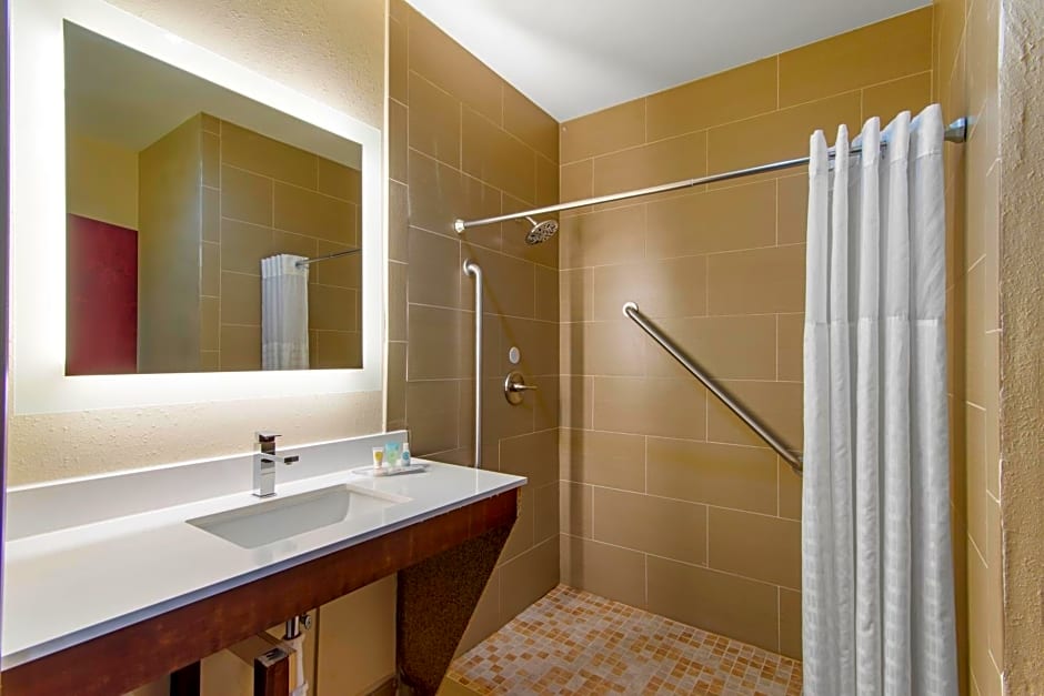 Comfort Suites Locust Grove Atlanta South